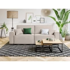 Canapé Droit MIRA Convertible Velours Grège